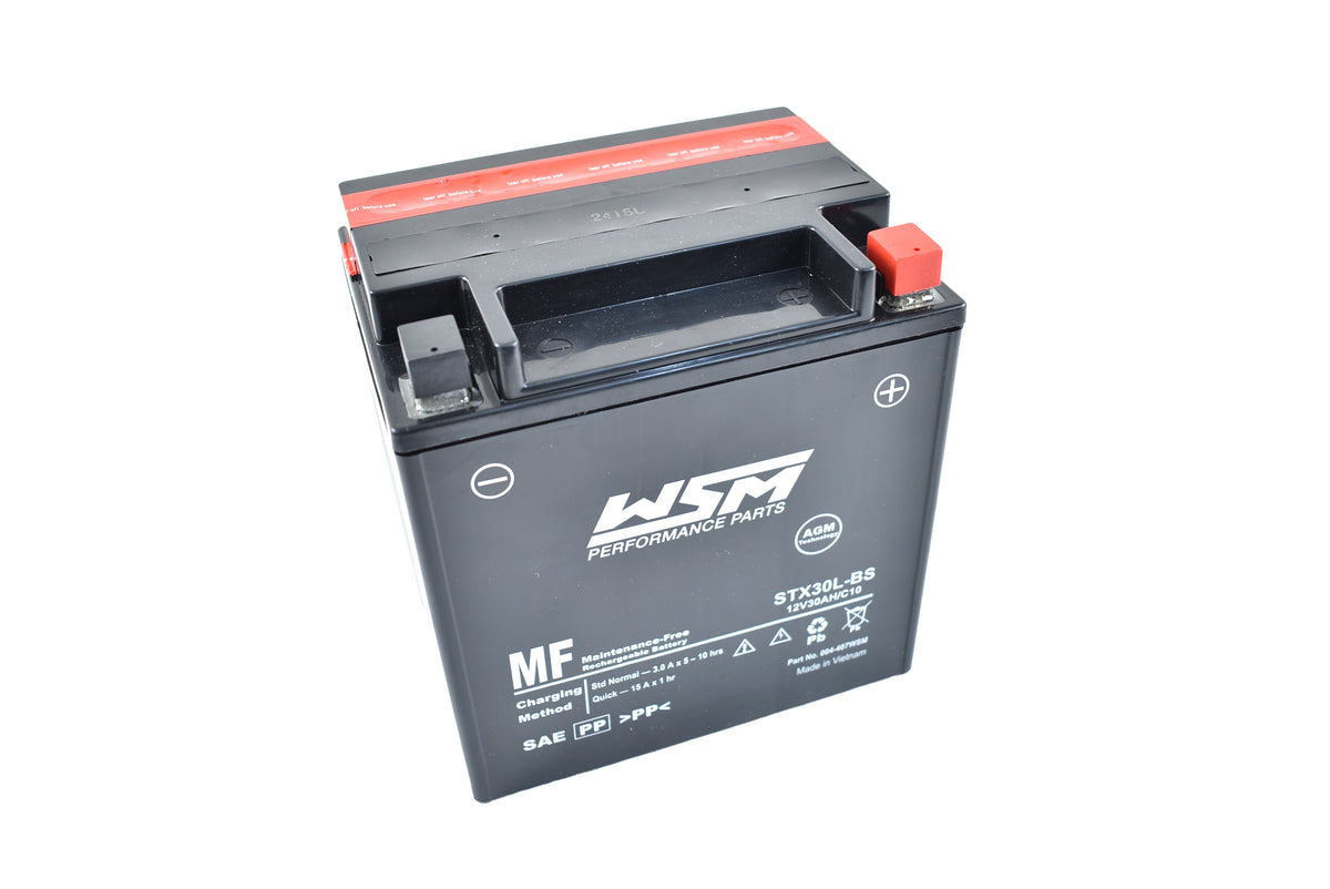 Maintenance Free Battery; STX30L-BS