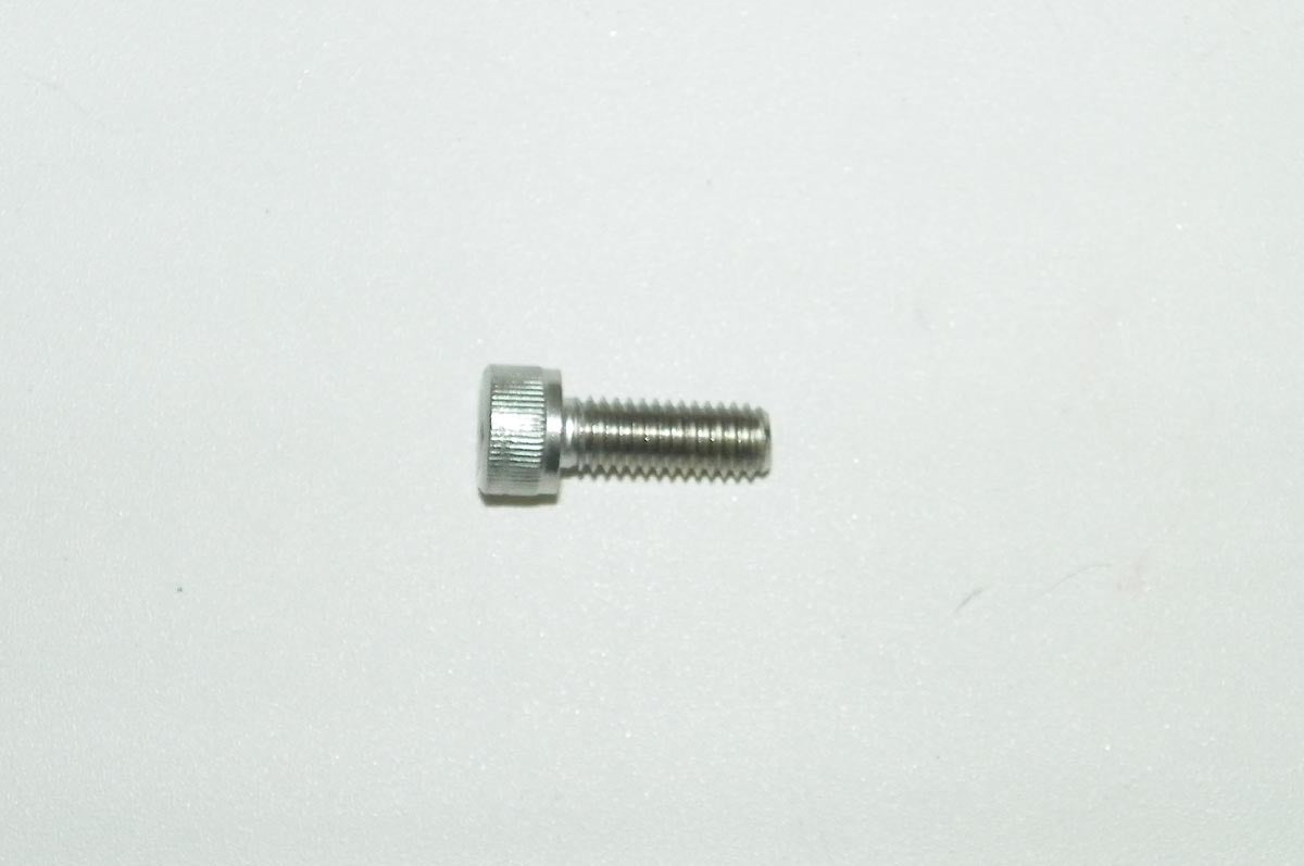 Bolt, Socket Cap; 6mm x 16mm Stainless