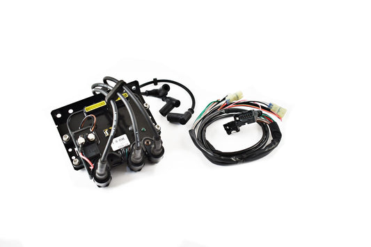 Module; Yamaha 1100 95-98