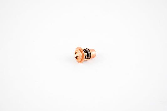 Thermostat; Sea-Doo 900 Spark 14-25