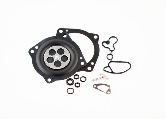Carburetor Rebuild Kit; Keihin
