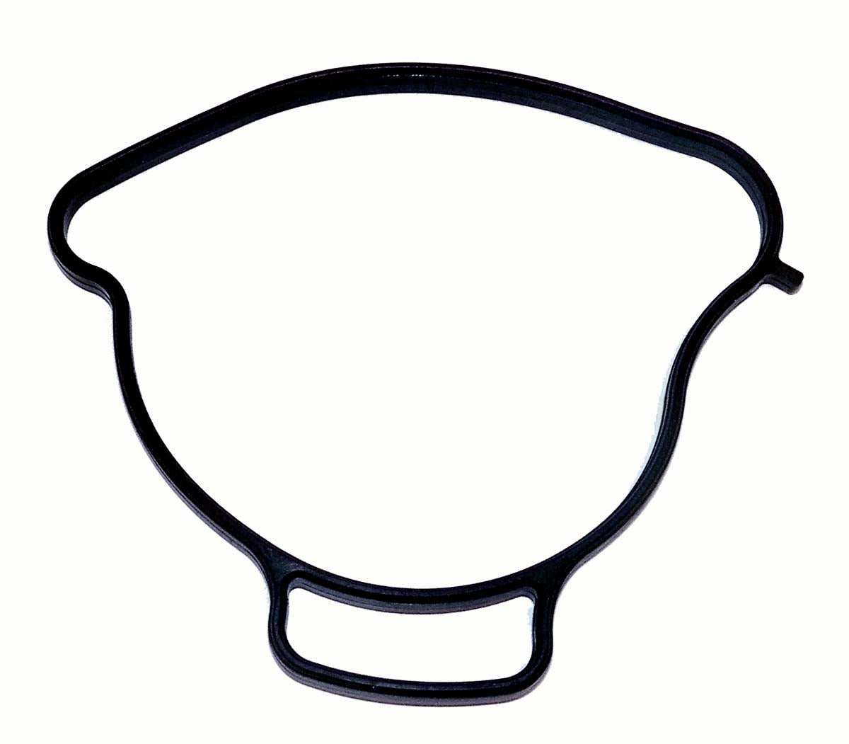 Water Pump Gasket; Sea-Doo / Can-Am 900 / 1000 14-26