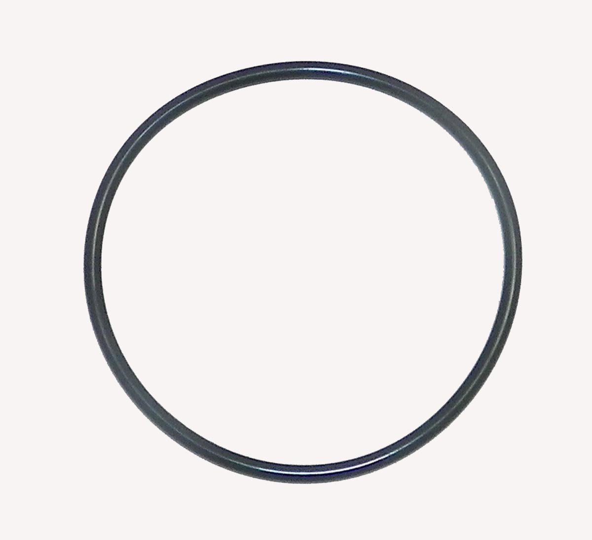 Throttle Plate O-Ring; Yamaha 1800 08-10