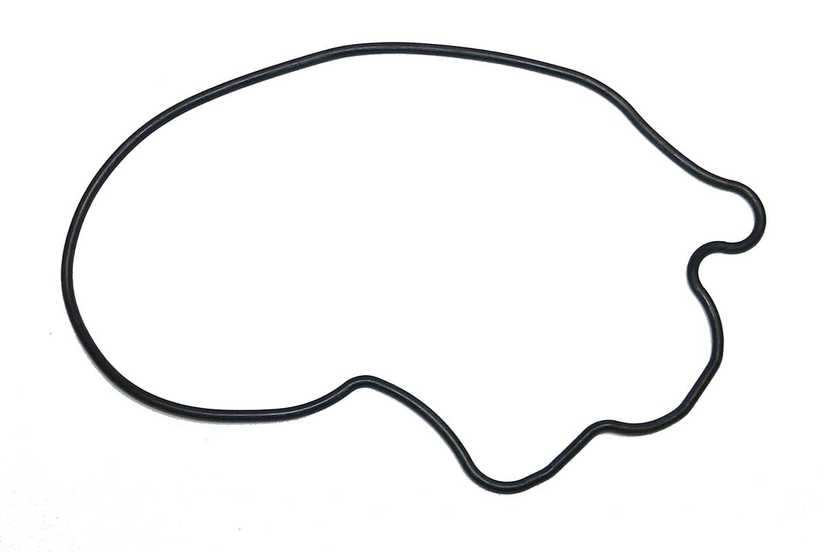 Oil Pump O-Ring; Yamaha 1100 04-15