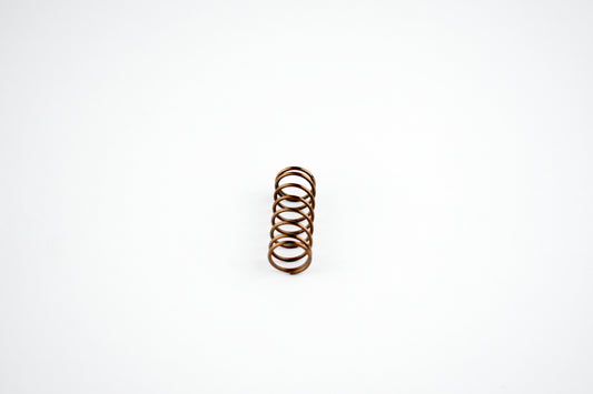 Power Valve Spring; Sea-Doo 951 DI 00-07