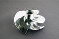 Stainless Steel Impeller; Sea-Doo 1503 4-Tec 09-17